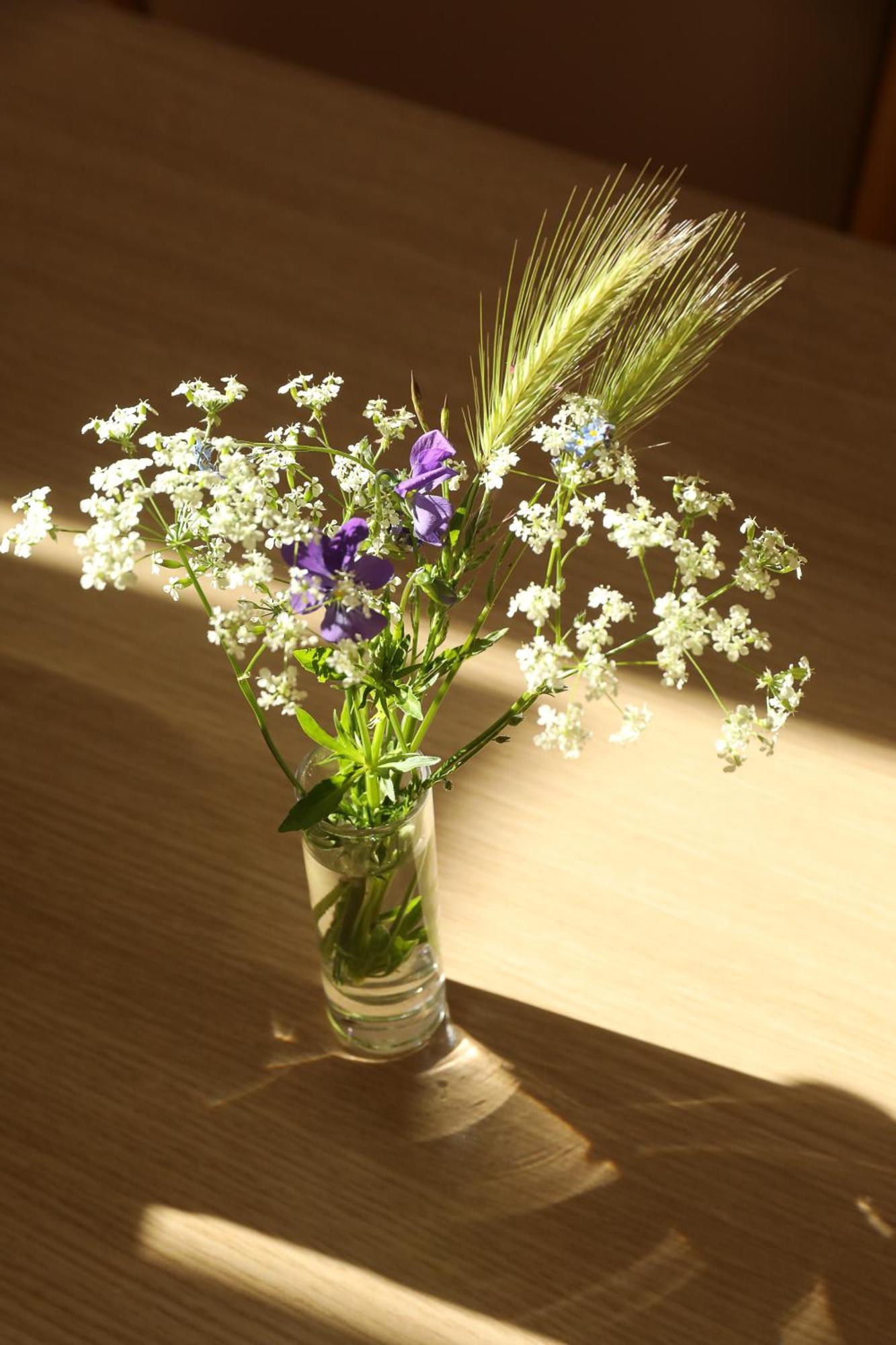 Logis Hotel Spa Restaurant Le Provence Lanarce Bagian luar foto