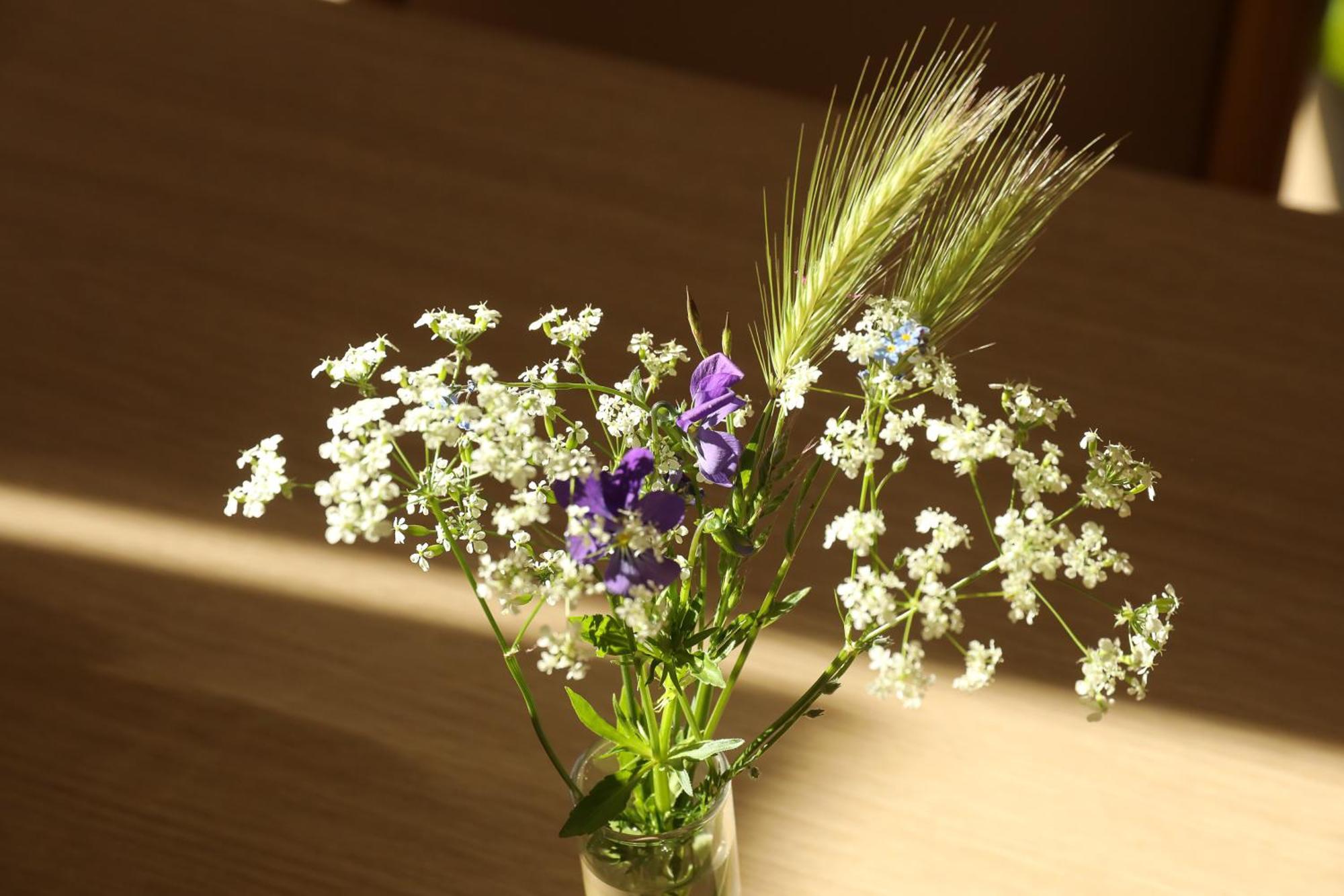 Logis Hotel Spa Restaurant Le Provence Lanarce Bagian luar foto